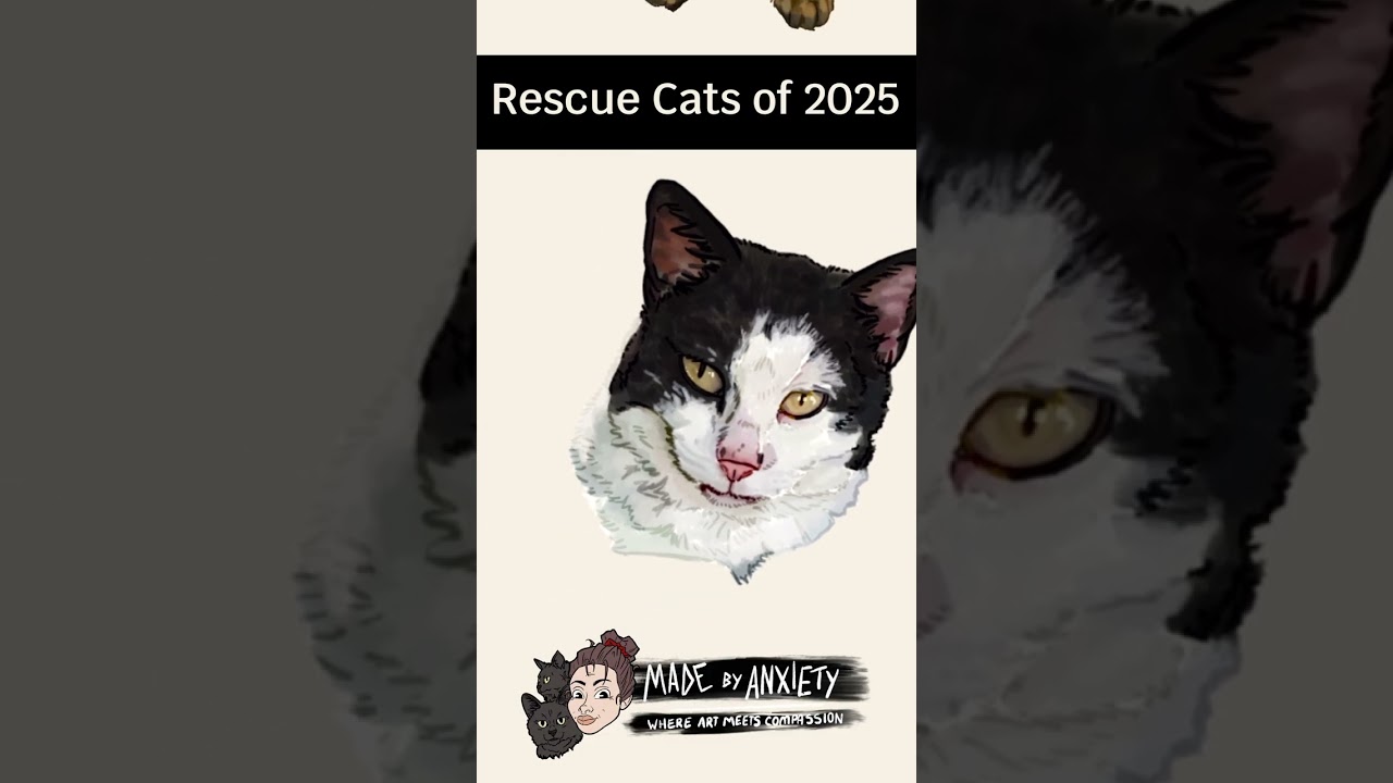 ✨🐾 The 2025 Rescue Cat Collection! 🐾✨