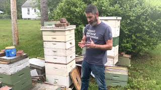 How to transfer bees from deeps to mediums #honeybee #honey #savethebees