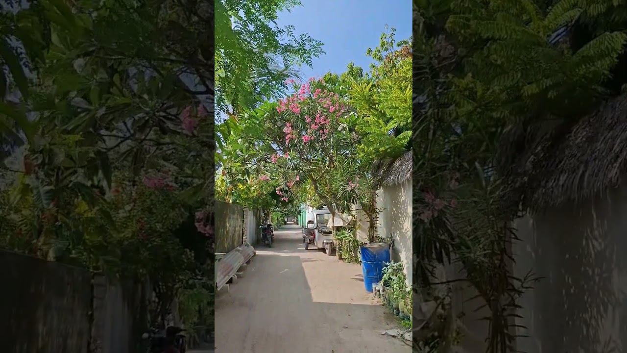 Остров Дангети Мальдивы