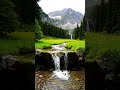 Calm Water Flow 💧 Relax Your Mind in Seconds #WaterSounds #RelaxingNature #StressRelief