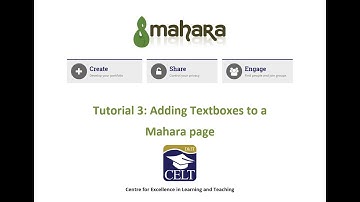 3. Adding textboxes to a Mahara page (2024)