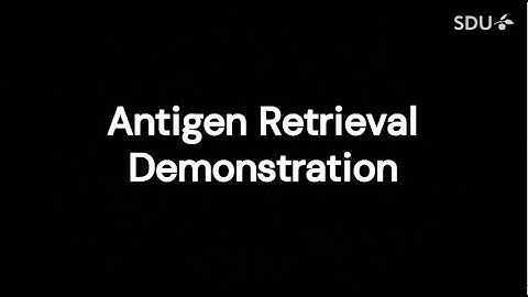 Antigen Retrieval Demonstration