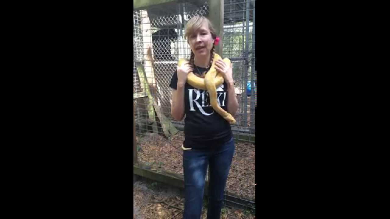 How Animals Help Us to "Be Reiki" Tutorial | Animal Reiki Source