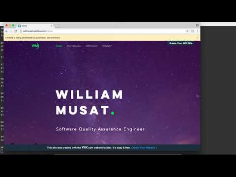 Selenium Webdriver Automation: Submitting a comment on a webpage using Python