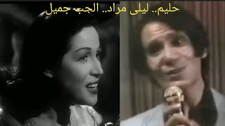 عبد الحليم حافظ وليلى مراد.. 