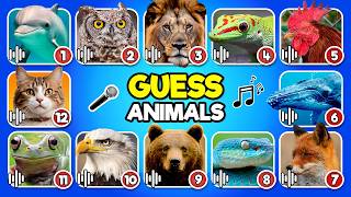 Guess the Animals by the Sound 🦁🎶