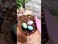 Chocolate Bird Nest Pops 🪺So Cute and Easy#easter #easyrecipes #simplerecipe