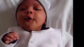 Download Lagu 6 WEEK old baby says hello to her mamma MP3