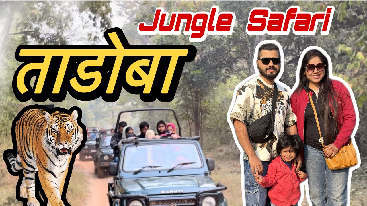 🌿Karwa Gate Tadoba Safari Experience | Jungle, Nature & Travel Vlog”|Family vlog🥰