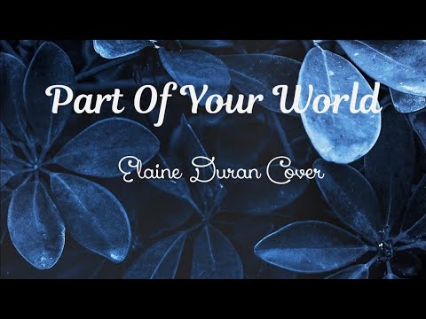Part Of Your World Lyrics - YouTube