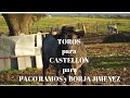 CASTELLÓN Una CORRIDA DE TOROS para PACO RAMOS y BORJA JIMÉNEZ