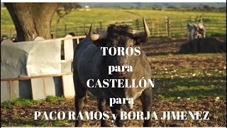 CASTELLÓN Una CORRIDA DE TOROS para PACO RAMOS y BORJA JIMÉNEZ