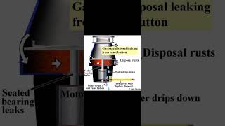 Download Lagu Leaking Garbage Disposal? Here’s why, check out my video on how we replace it #garbagedisposal #diy MP3