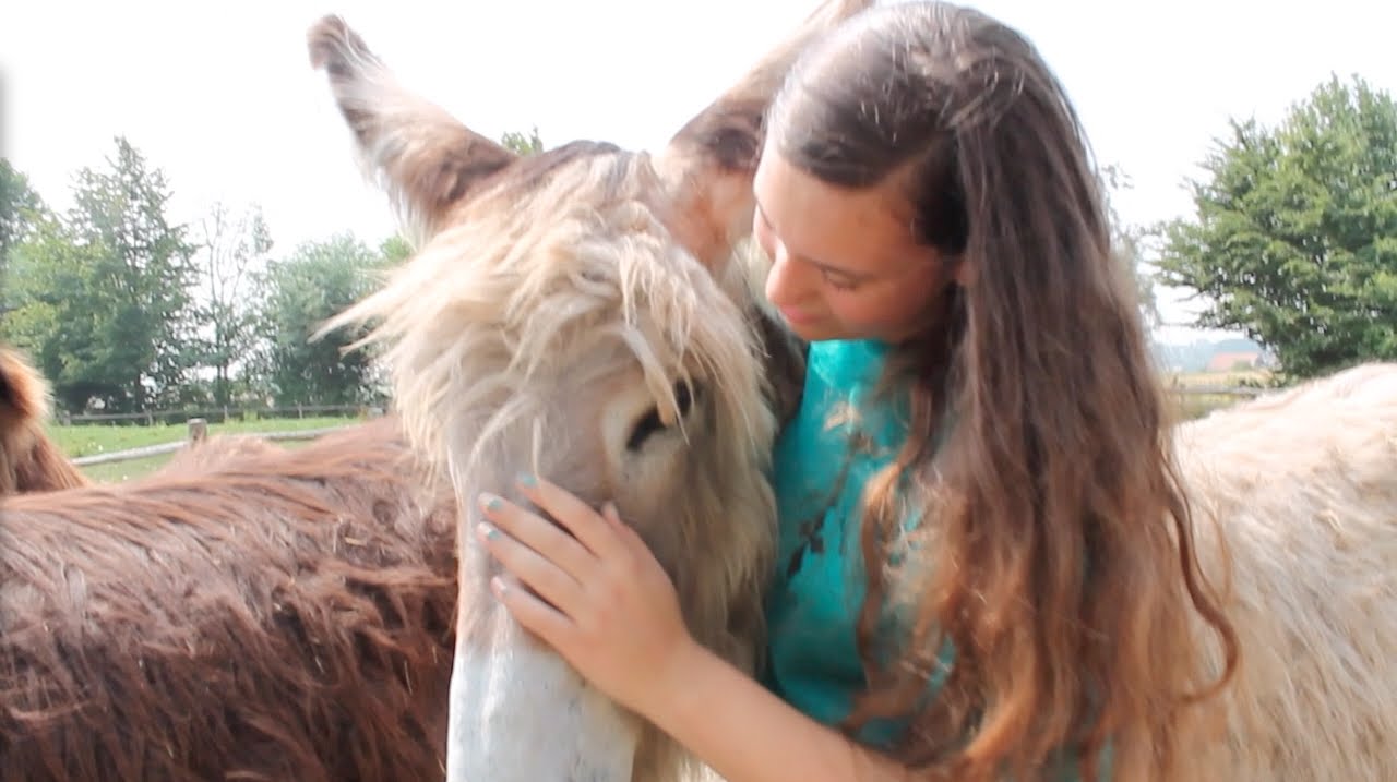 VLOG | L'Asinerie du Pays des Collines