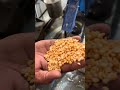 Multipurpose chana dal mil machine 📲 +91 90390 88841