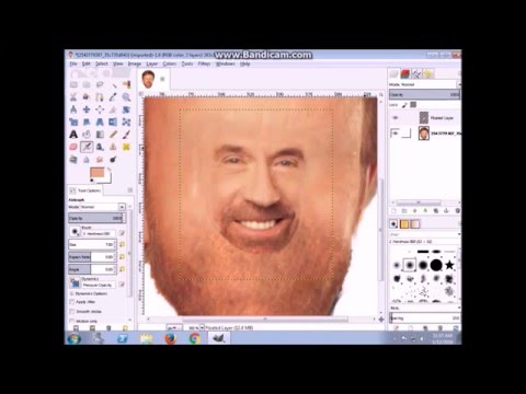 How to make someones face small in gimp 2.0