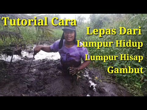 Video: Mengapa Rawa Tersedot