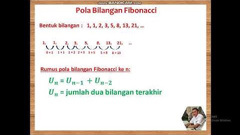 pola bilangan fibonacci