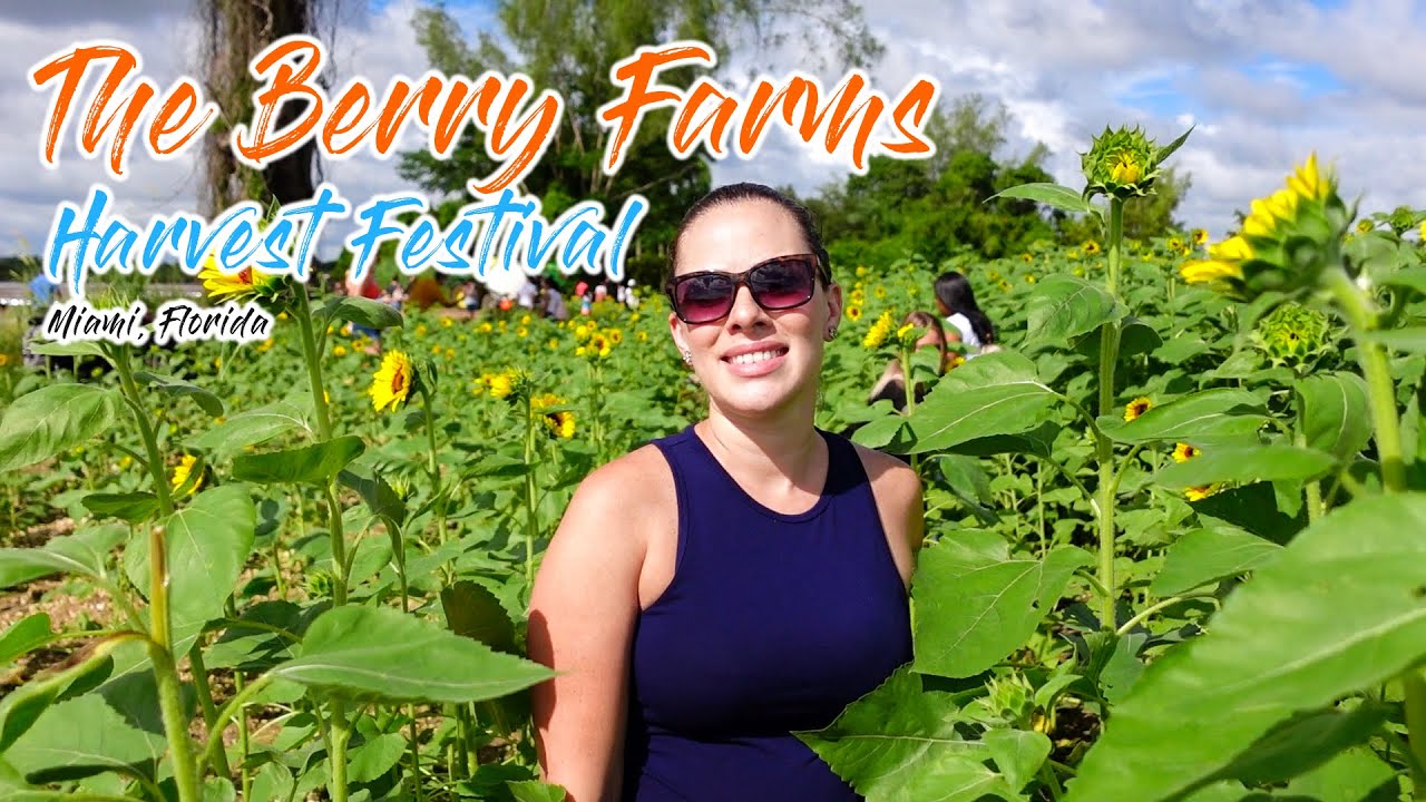 The Berry Farms Harvest Festival Miami, Florida YouTube