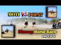 Dharnag horse race moti  popat 09032024 kutch horselover kutchhorserace