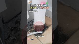 당신만 모르는 베란다 우수관악취 차단 방법 ㅣ우수관전문업체 #우수관 #악취제거 #바퀴벌레