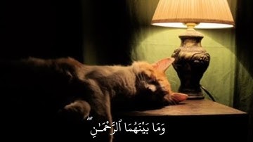 سورة النبأ كاملة | القارئ عبد الرحمن مسعد |راحة نفسية