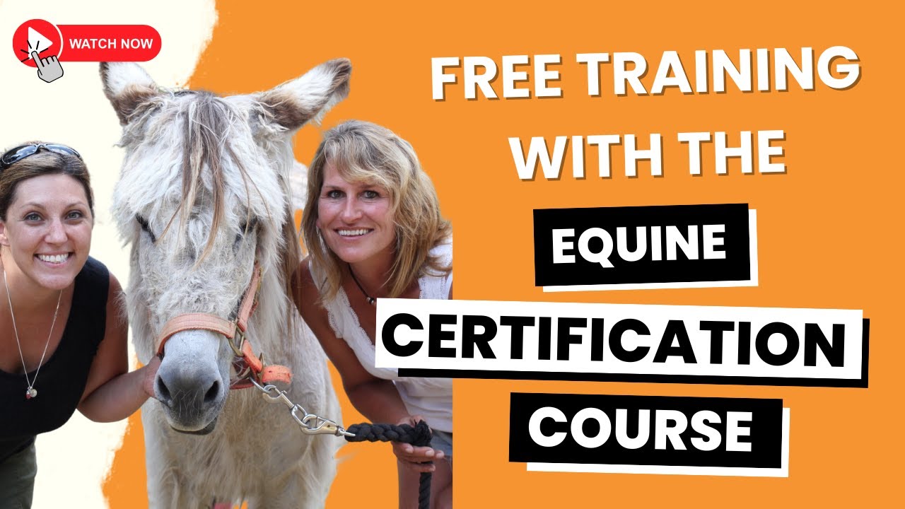 Horse Training That Puts Horses First