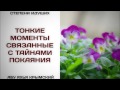 17. Тонкие моменты связанные с тайнами покаяния || Абу Яхья Крымский