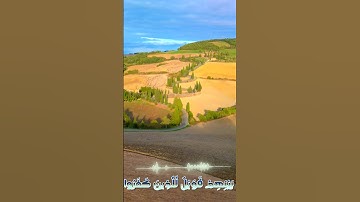 سورة مريم و،؛كا.نك تسمعها لأ؛؛و.ل مر.ة💖💟،.🌺💘💙؛،❣️💚بصوت الشيخ حمزة مد؛بو.ح 🌼🌸💔..💓❣️🌻؛،💮