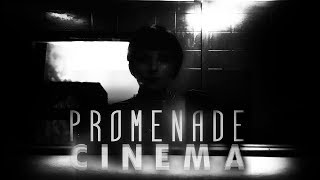 Promenade Cinema - Polaroid Stranger