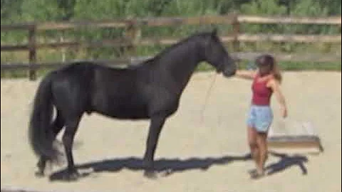 linda's ranch