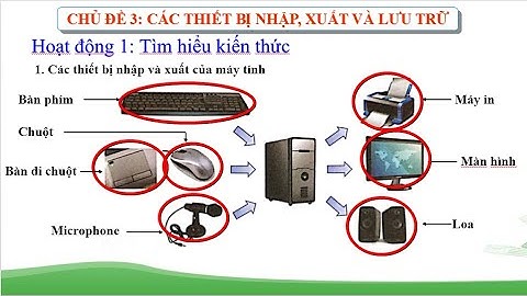 Chủ đề 3  Các thiết bị nhập, xuất và lưu trữ (Lớp 3)