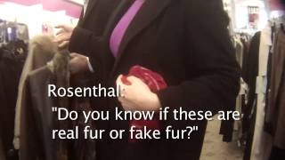 Hsus Fur Investigation New York City