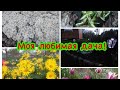 Моя любимая Дача 04.05.2020. Ура ,ура посадила картофель.Эстафета. Весенние работы продолжаются.