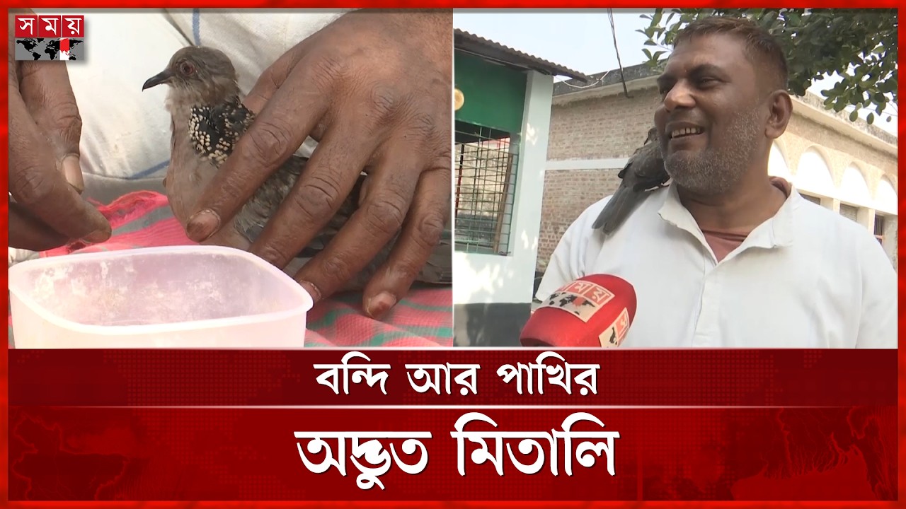 শিকলবন্দি জীবনে ডানা মেলা এক বন্ধুত্ব: নাটোর জেলা কারাগারের গল্প | Natore District Jail | Imprisoned