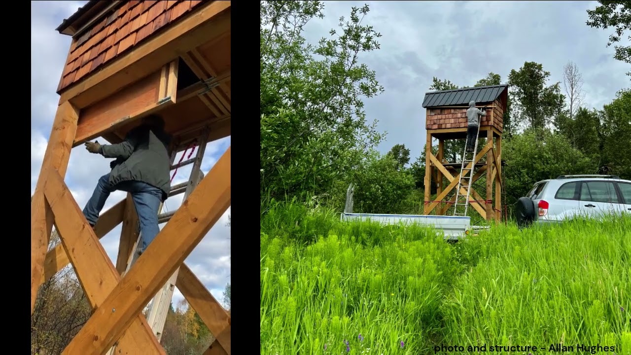 Bat Roost Habitat Monitoring in the Kootenay Lake Region: WCS Canada