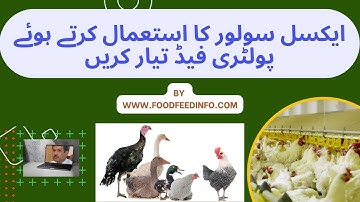 Poultry Feed Formulation by Excel Solver in Hindi-Urdu by