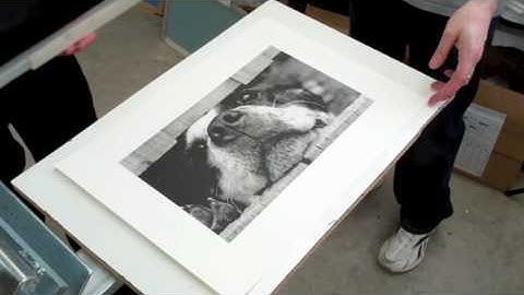 GOCCOPRO UK - Printing limited edition Photo real screen prints