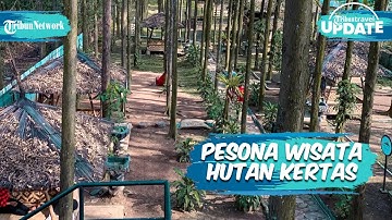 Hutan Kertas, Tempat Wisata Alam di Karawang yang Memiliki Pohon Ekaliptus dan Spot Instagramable