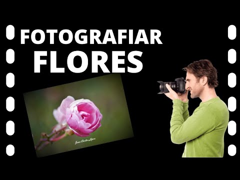 Video: Cómo Fotografiar Flores