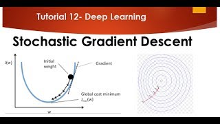 Tutorial 12- Stochastic Gradient Descent vs Gradient Descent