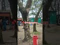 Noakhali science and technology university| nstu campus tour #nstu #noakhali #trend #trendingshorts
