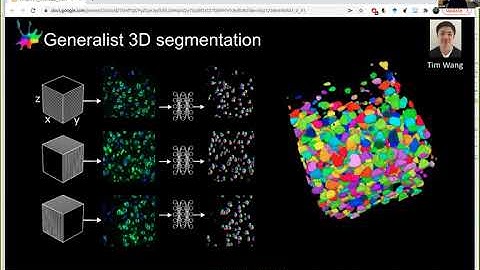 Cellpose and Suite2p