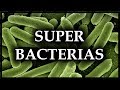 SUPERBACTERIAS ¿EL FIN DE LA HUMANIDAD? | TE LO CUENTO EN 3 MIN | TODOS SABIOS