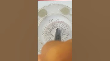 This is a small toy that can draw a bird