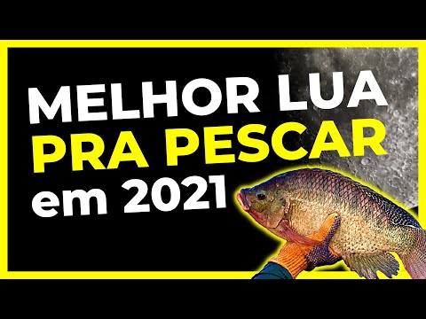 Vídeo: Calendário lunar do pescador para 2021 por meses