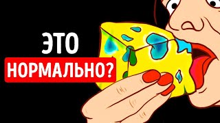 Что будет, если поесть заплесневелый сыр?