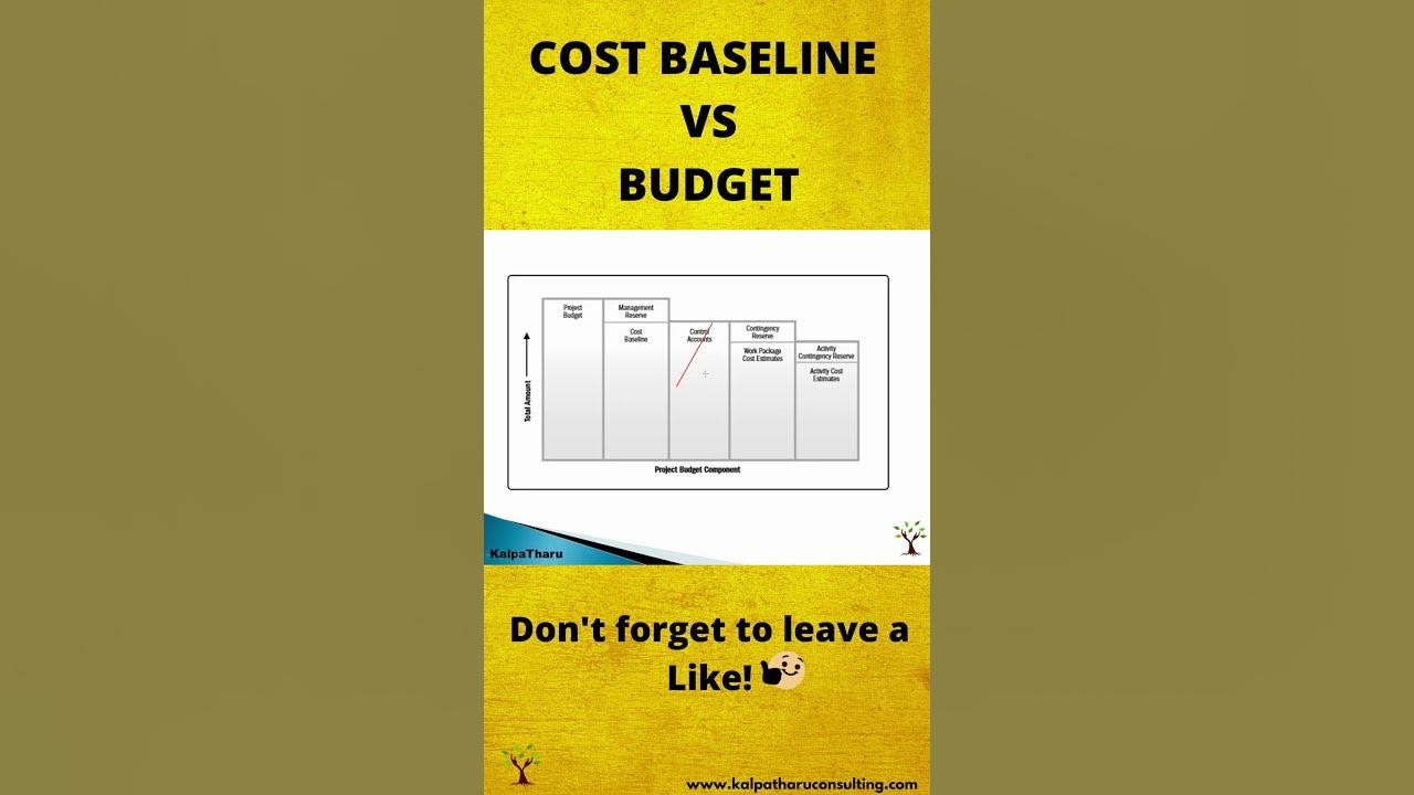 Cost Baseline Vs Budget shorts cost costmanagement budget costbaseline project YouTube