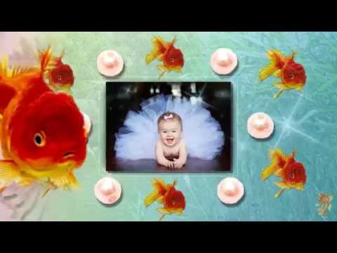 Песня золотая рыбка детская караоке
