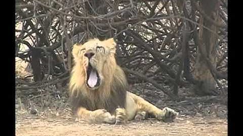 VCP-Std7-Sem2-Unit1-Act7-Epi-78-2